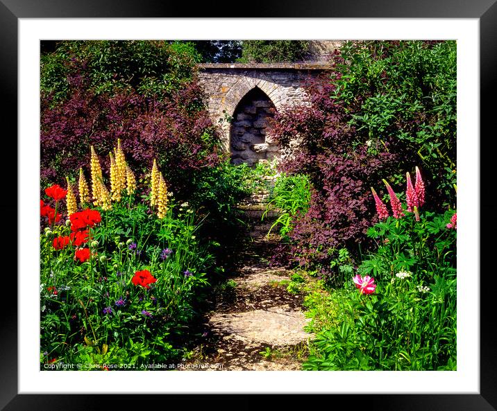 Summer colour garden borders Framed Mounted Print by Chris Rose