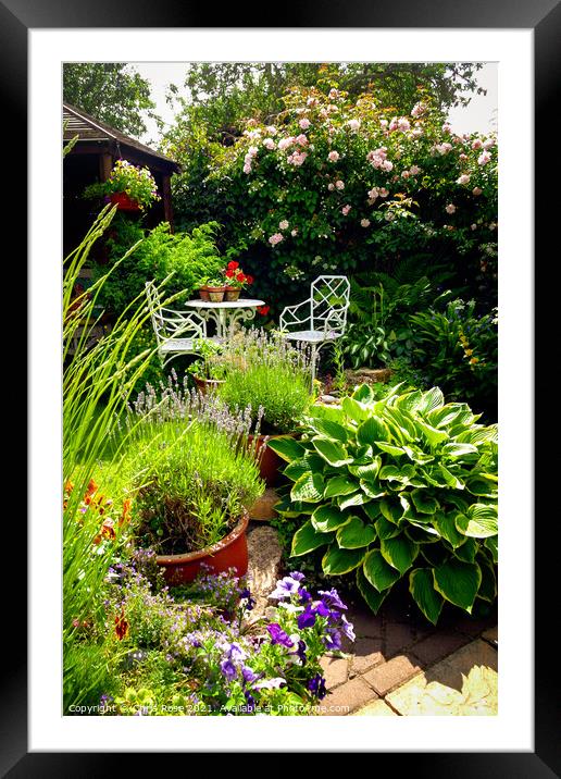 Small densely planted summer garden Framed Mounted Print by Chris Rose