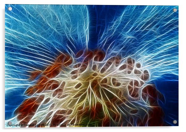 Blue poppy Acrylic by Howard Corlett