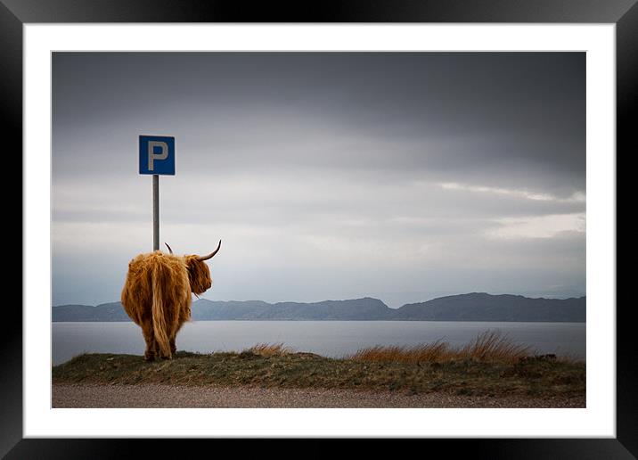 cow parking Framed Mounted Print by Dorit Fuhg