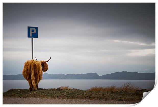 cow parking Print by Dorit Fuhg