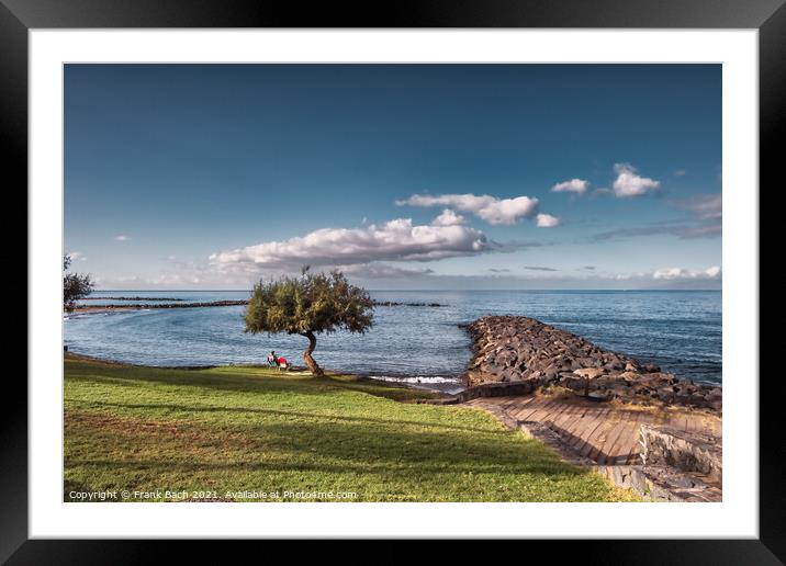 Beach with lonely tree Playa Los Americas on Tenerife, Spain Framed Mounted Print by Frank Bach
