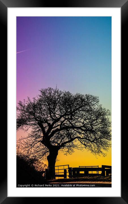 Guiseley, Tree silhouette at sunset Framed Mounted Print by Richard Perks