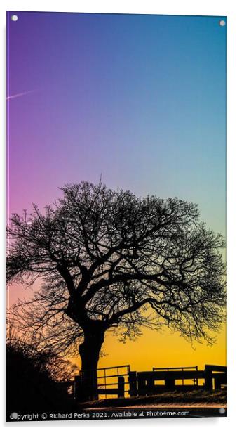 Guiseley, Tree silhouette at sunset Acrylic by Richard Perks