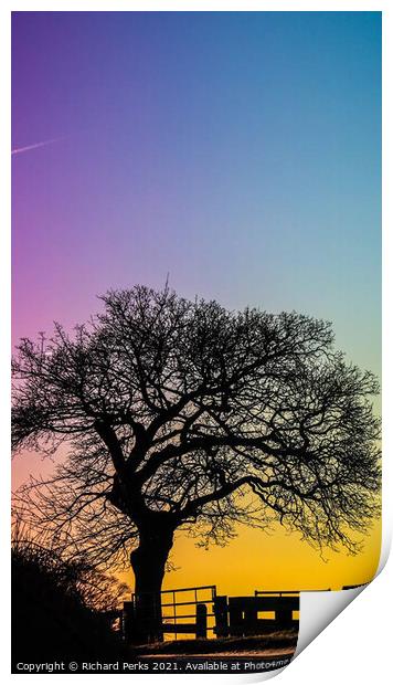 Guiseley, Tree silhouette at sunset Print by Richard Perks