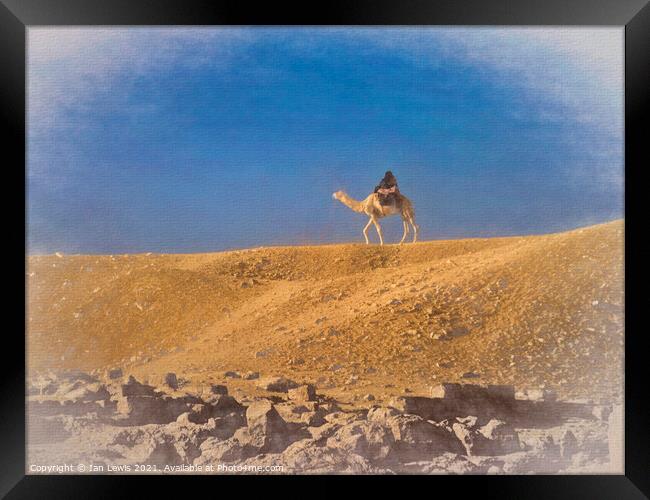 Lone Rider in the Sahara Sands Framed Print by Ian Lewis