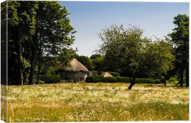 Wild meadow and thatched cottage. Canvas Print by Gerry Walden LRPS