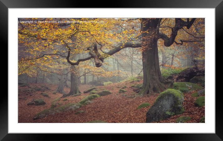 Padley Gorge Framed Mounted Print by Paul Andrews