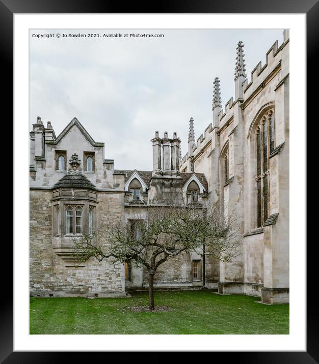 Newtons Tree, Trinity College, Cambridge Framed Mounted Print by Jo Sowden