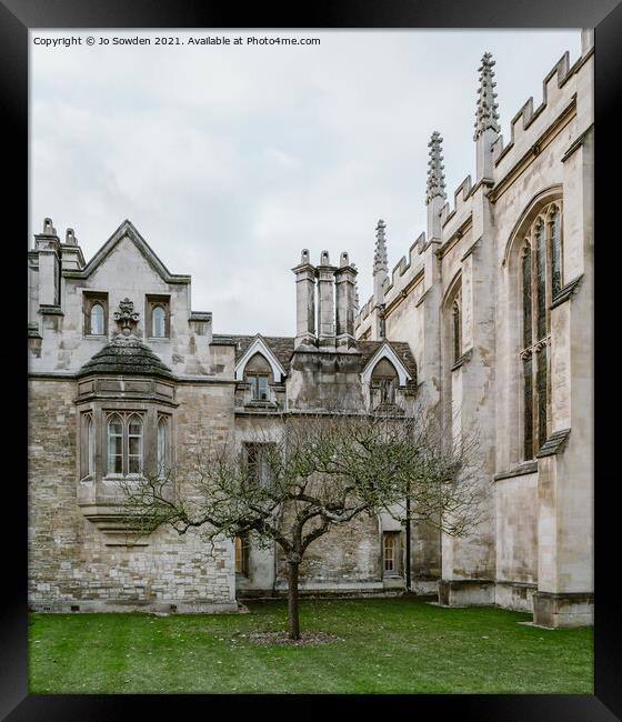 Newtons Tree, Trinity College, Cambridge Framed Print by Jo Sowden