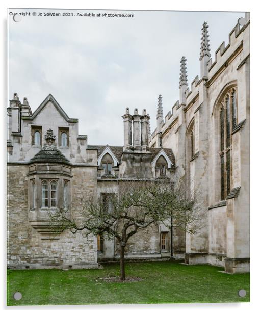 Newtons Tree, Trinity College, Cambridge Acrylic by Jo Sowden