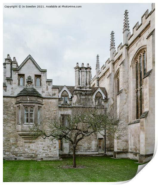Newtons Tree, Trinity College, Cambridge Print by Jo Sowden