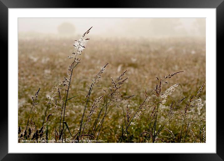 Outdoor field Framed Mounted Print by Philip Gough