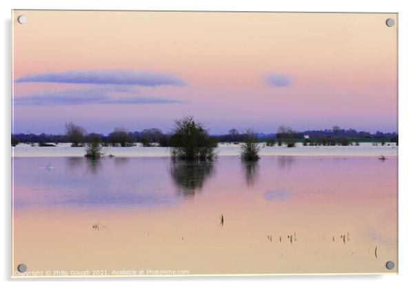 Floods On The Somerset Levels Acrylic by Philip Gough