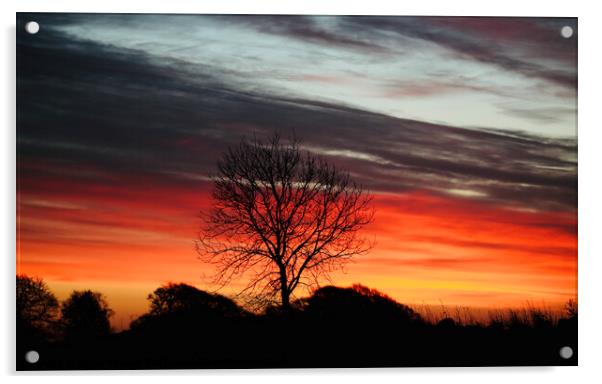 Dramatic sunrise Acrylic by Simon Johnson