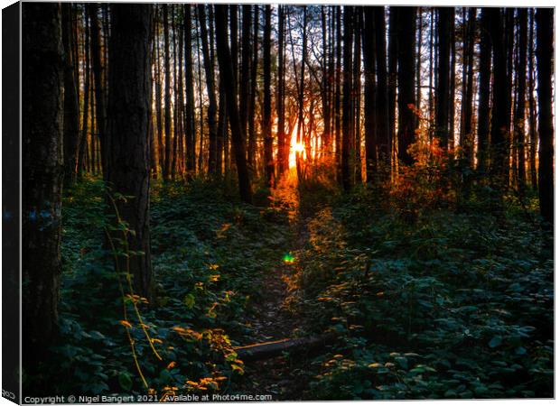 Fire In The Woods Canvas Print by Nigel Bangert