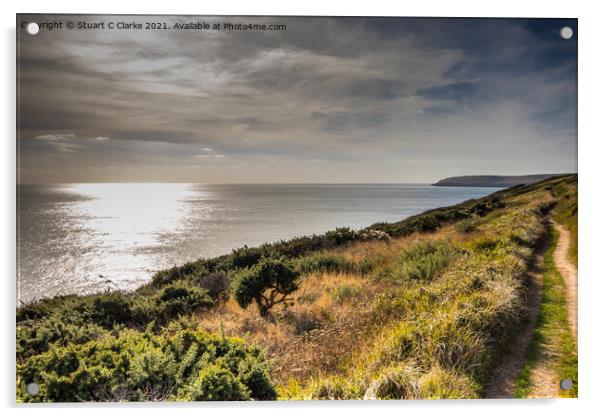 Anvil Point lighthouse Acrylic by Stuart C Clarke