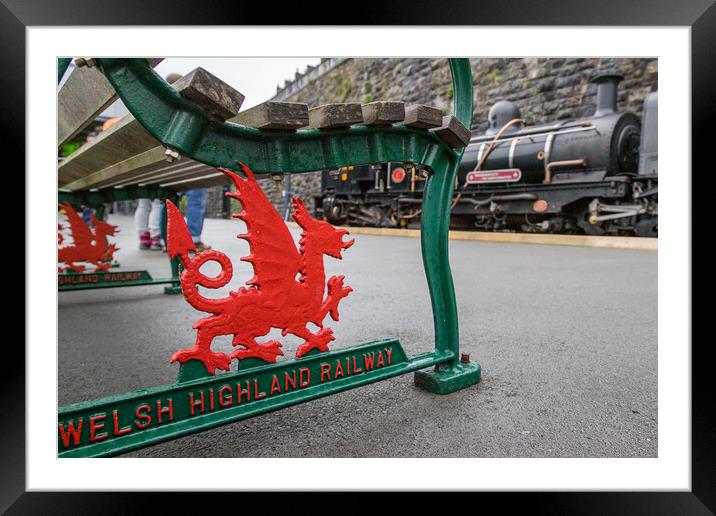 Red dragon under a bench Framed Mounted Print by Jason Wells