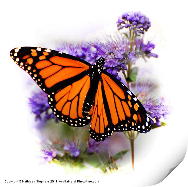 Monarch with Open Wings Print by Kathleen Stephens
