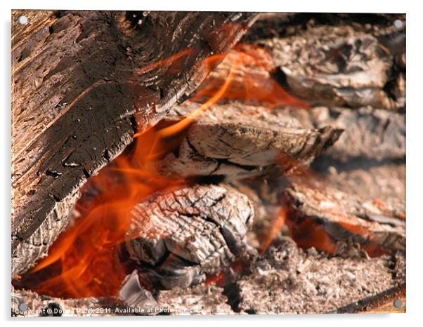 campfire Acrylic by Dorota Kurek