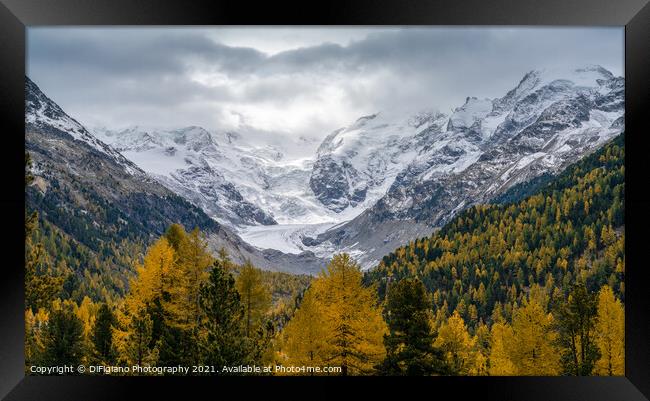 Morteratsch Valley Framed Print by DiFigiano Photography