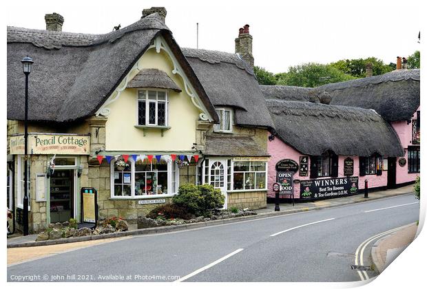 picturesque thatched cottages, Shanklin, Isle of Wight, UK. Print by john hill