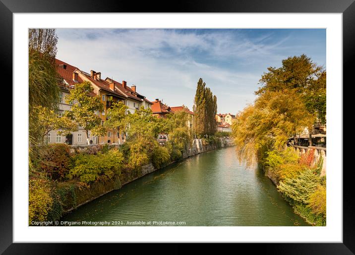 Ljubljana River Autumn Framed Mounted Print by DiFigiano Photography