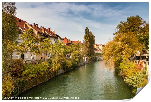 Ljubljana River Autumn Print by DiFigiano Photography