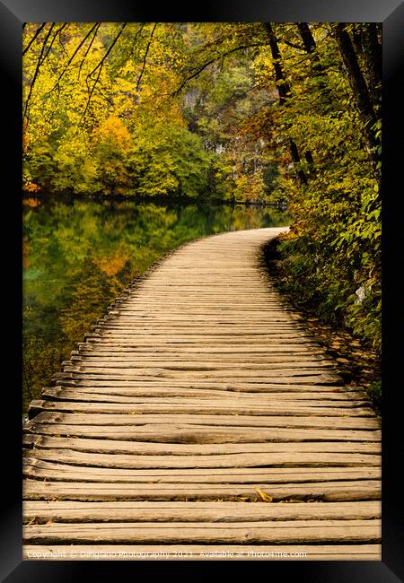 Lakeside Boardwalk 2 Framed Print by DiFigiano Photography