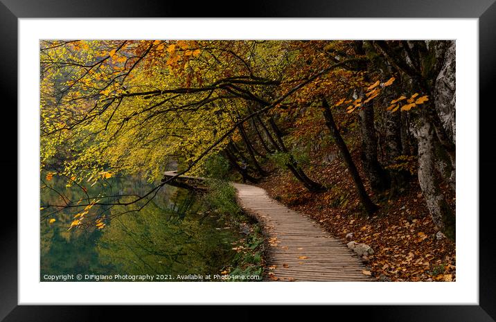 Lakeside Boardwalk Framed Mounted Print by DiFigiano Photography
