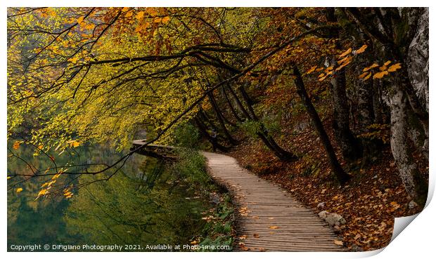 Lakeside Boardwalk Print by DiFigiano Photography