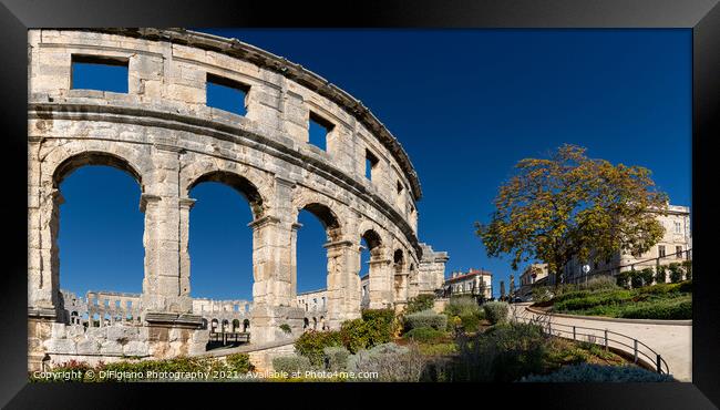 Pula Arena Framed Print by DiFigiano Photography