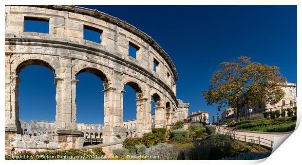 Pula Arena Print by DiFigiano Photography