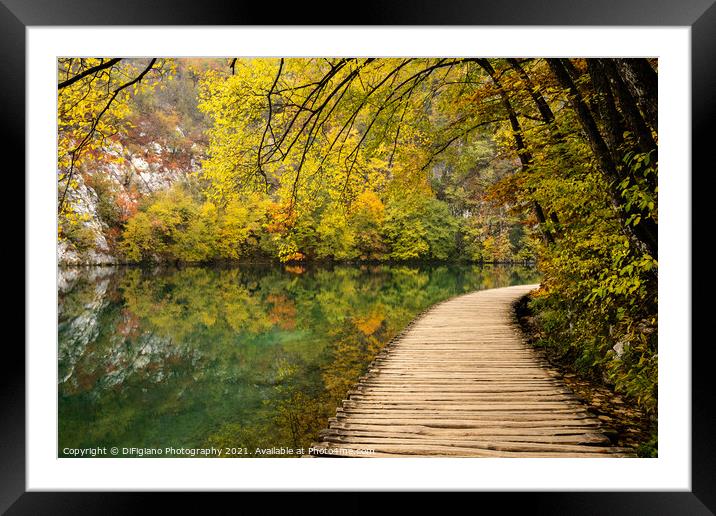Lakeside Boardwalk 3 Framed Mounted Print by DiFigiano Photography