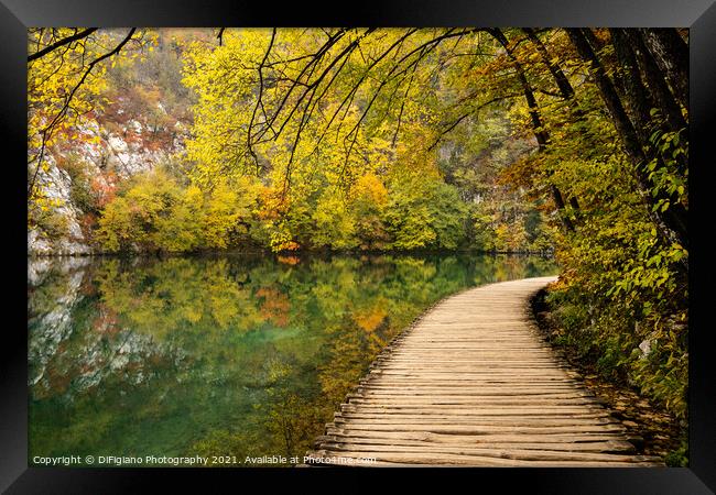 Lakeside Boardwalk 3 Framed Print by DiFigiano Photography
