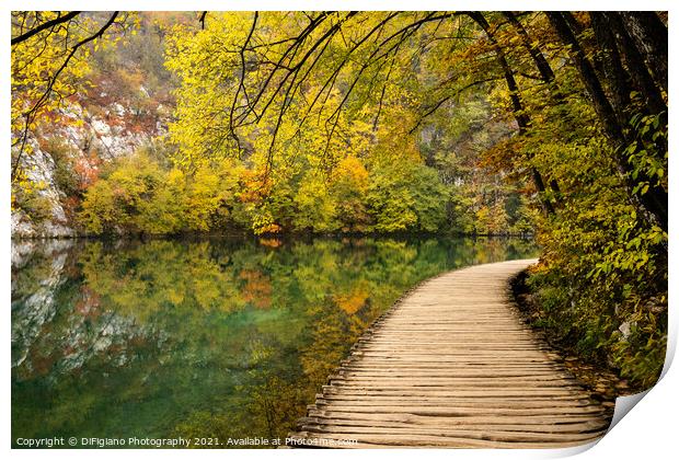 Lakeside Boardwalk 3 Print by DiFigiano Photography