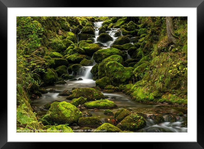 Kropa Creek Framed Mounted Print by DiFigiano Photography