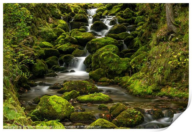 Kropa Creek Print by DiFigiano Photography