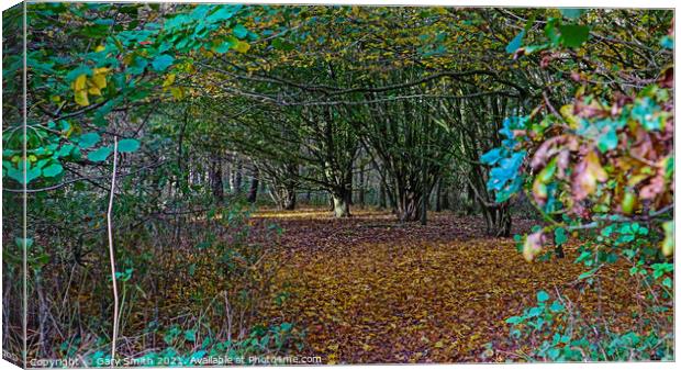 Looking Into The Fallen Carpet of Leaves  Canvas Print by GJS Photography Artist