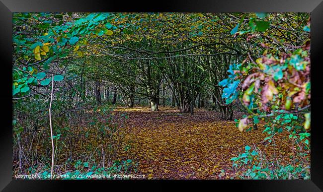 Looking Into The Fallen Carpet of Leaves  Framed Print by GJS Photography Artist