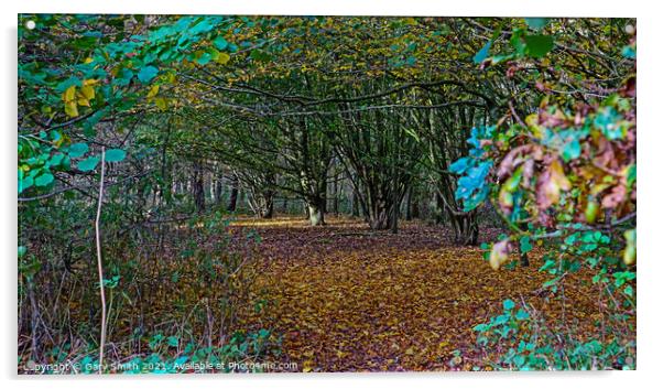 Looking Into The Fallen Carpet of Leaves  Acrylic by GJS Photography Artist