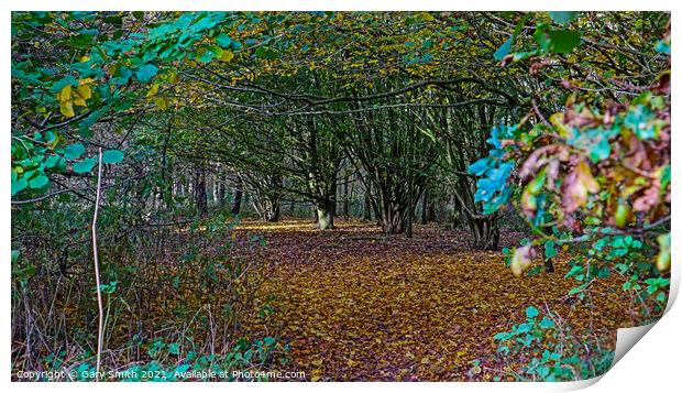 Looking Into The Fallen Carpet of Leaves  Print by GJS Photography Artist
