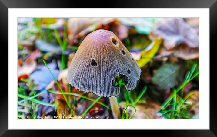 Pleated Head  Framed Mounted Print by GJS Photography Artist