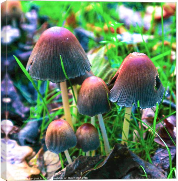 Family of Fungi Canvas Print by GJS Photography Artist