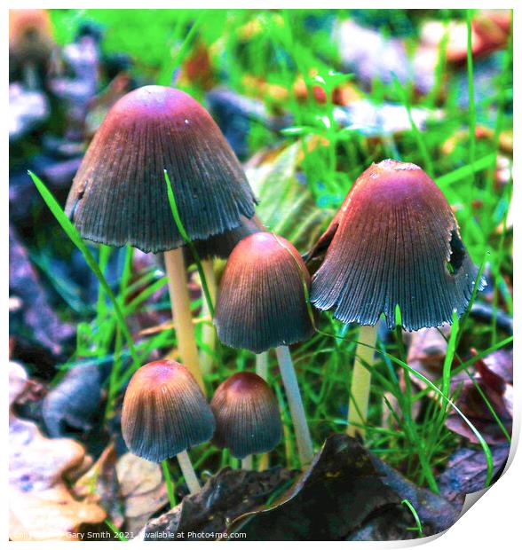 Family of Fungi Print by GJS Photography Artist