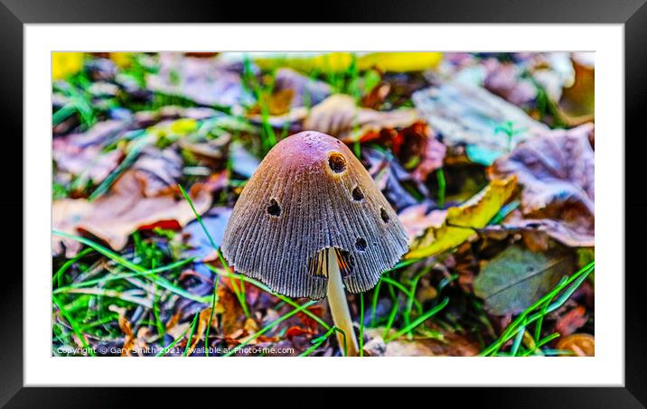 Nicely Pleated Top Framed Mounted Print by GJS Photography Artist