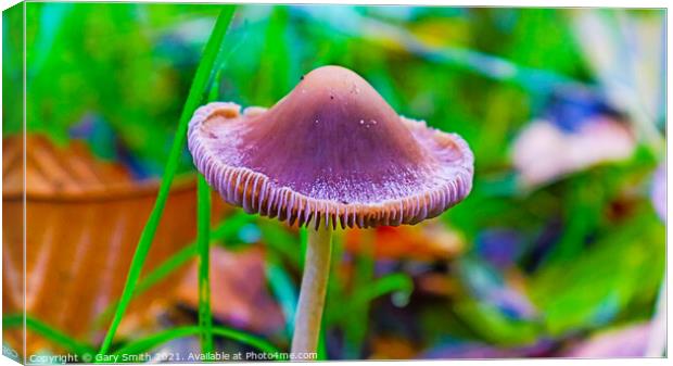 Almost a Flower Canvas Print by GJS Photography Artist