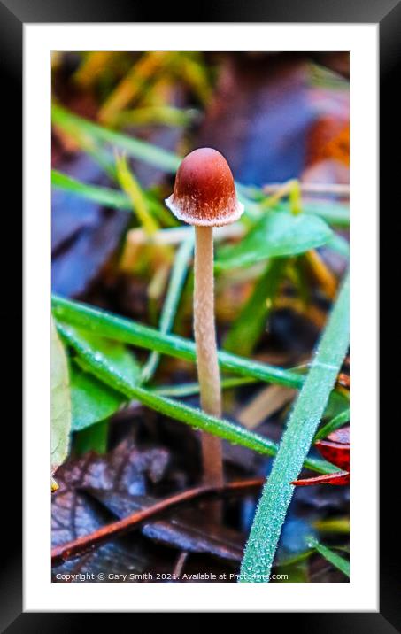 Little Red Framed Mounted Print by GJS Photography Artist
