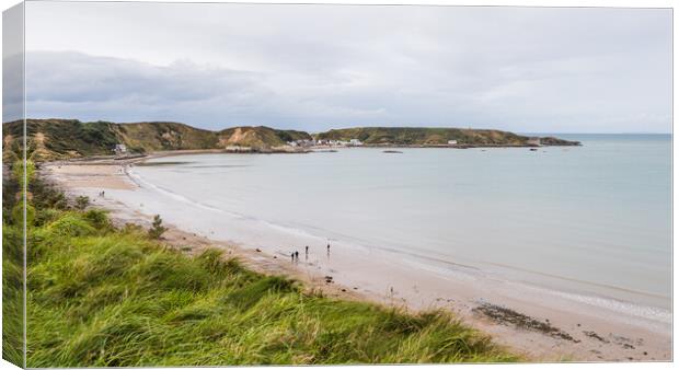 Morfa Nefyn beach panorama Canvas Print by Jason Wells