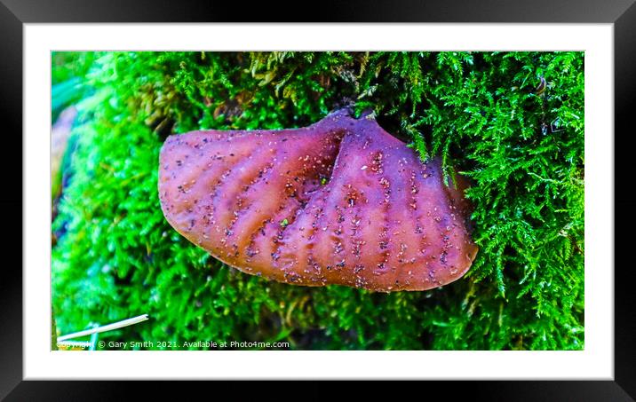 Ascocoryne sarcoides in Moss Framed Mounted Print by GJS Photography Artist